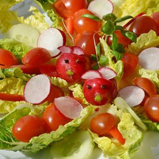 Salads